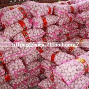 Mixed Size of Export Standard Fresh Normal White Garlic Vegetable