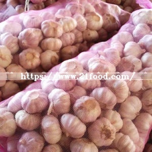 4.5cm-5.5cm Mixed Specification Fresh Normal/Pure White Garlic Vegetable