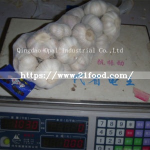 4.5cm-5.5cm Mixed Specification Fresh Normal/Pure White Garlic Vegetable