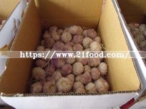 4.5cm-5.5cm Mixed Specification Fresh Normal/Pure White Garlic Vegetable