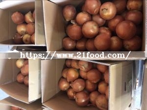 New Crop Yunnan Original Fresh Yellow Onion