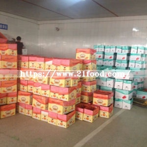 Top Quality of China Fujian Red Fresh Carrot