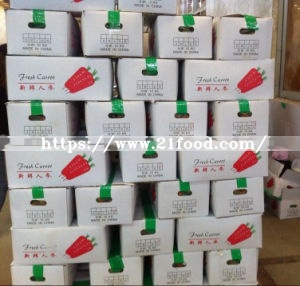 Export Standard Chinese New Crop Red Fresh Carrot