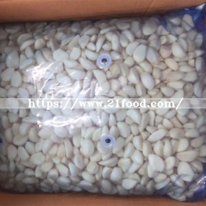 Export to Canada Standard Nitrogen Carton Fresh Peeled Garlic Clove