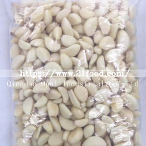 Export to Canada Standard Nitrogen Carton Fresh Peeled Garlic Clove