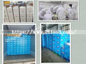 Export to Canada Standard Nitrogen Carton Fresh Peeled Garlic Clove