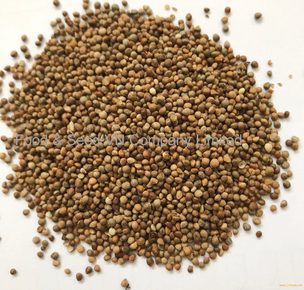 roasted-perilla-seeds-vietnam-food-seed-vn-price-supplier-21food