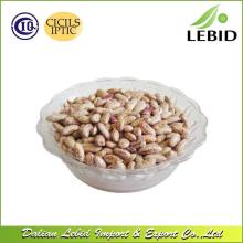 New Crop Light Speckled Kidney Beans Long Shape