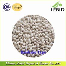 Baishake Type White Kidney Beans