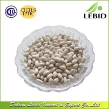 Plump Grain White Kidney Beans Baishake Type