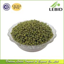 New Crop Green Mung Beans For Sale