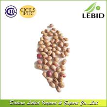 Xinjiang Origin Round Shape Light Speckled Kidney Beans