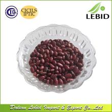 Plump Grain  Small   Red   Kidney   Bean s
