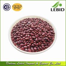 2014 Crop Red Beans Small Red Kidney Beans