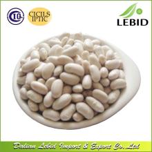 Kidney Beans Type Long Shape White Kidney Beans
