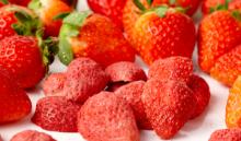  Organic   Freeze   Dried  Fruits