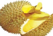 Freeze Dried Durian Slice / Powder