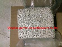 Hot sale Roasted and salted pumpkin seeds