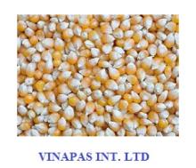 Maize dried