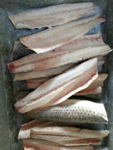 оптом замороженные морепродукты: кефаль филе рыбы для консервов