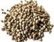 INDIAN GREEN MILLET WHOLE