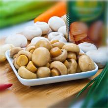 2015 Hot Sale Organic Food Canned  Mushroom  in  Brine 