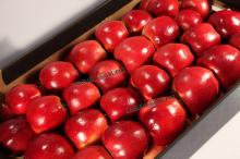 Apples fresh fruit