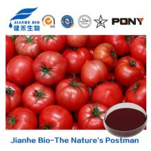 Natural powder free sample tomato extract lycopene supplier in bulk, plant extract powder&oil suppli