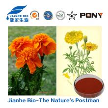 Top Quality Marigold Flower Extract  Lutein   Powder  10%&Zeaxanthin 5%~20% (Tageteserecta L.)