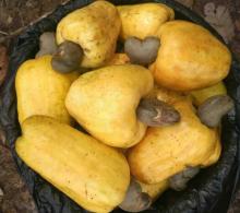 Cashew nuts