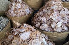  Dried   Squid s (Pusit)