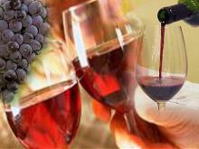 Organic apulian wine