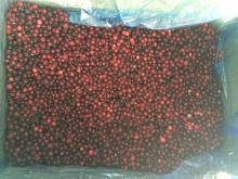 Frozen Lingonberry