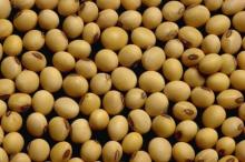 Soybeans