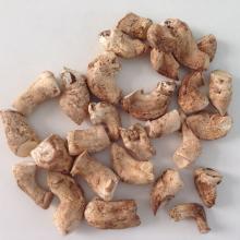 Dried Shiitake Mushroom  Stem 