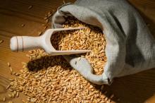 Premium grade of peeled oats