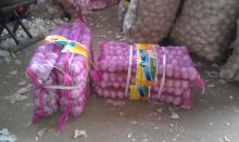 New  Crop   Fresh  Jinxiang Normal White  Garlic  5cm And Up In Mesh Bag Packing