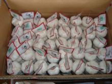 100% Nature Made 5.5cm Pure White Garlic Cultivated In Jinxiang Shandong China