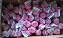 New Crop Natural Fresh Jinxiang Shandong Normal White Garlic