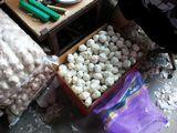 New Crop 6cm and up Normal White Fresh Garlic In 10 kg Box packing