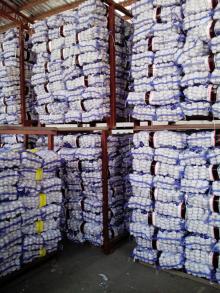 Loose Packing 5-5.5cm Fresh Red Garlic Produced In Jinxiang Shandong China