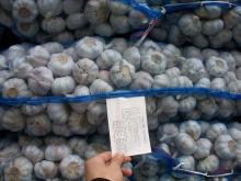 2017 New  Crop  4.5cm  Normal   White   Fresh   Garlic  10kg Mesh Bag Packing
