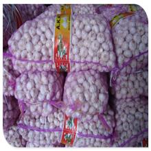 4.5-5cm Normal White Chinese Fresh  Garlic  In  Mesh   Bag  Packing