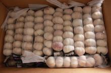 New Crop Fresh Chinese Normal White Garlic (5.0cm, 5.5cm, 6.0cm) Mesh Bag Or Box Packing