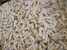New Crop Chinese 5cm Pure White Fresh Garlic Small Packing In Mesh Bag