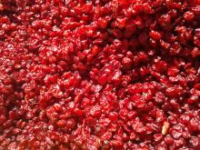 wholesale: Barberry