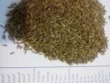 Wholesale: Cumin
