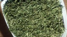 Organic TARRAGON