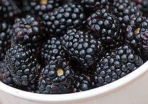 Blackberry pulp
