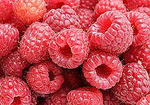 Concentrated  raspberry   juice 